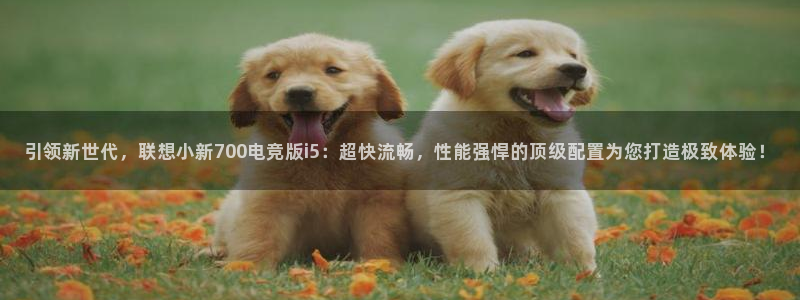 db电竞网页版