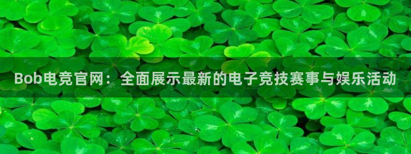 db电竞官网app