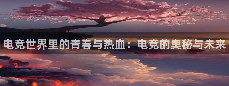 db电竞官网入口