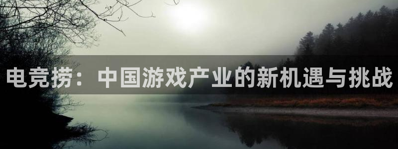 db电竞网页版：电竞捞：中国游戏产业的新机遇与挑战