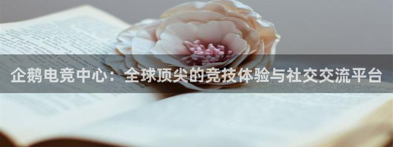 db电竞是什么软件：企鹅电竞中心：全球顶尖的竞技体验与社交交流平台