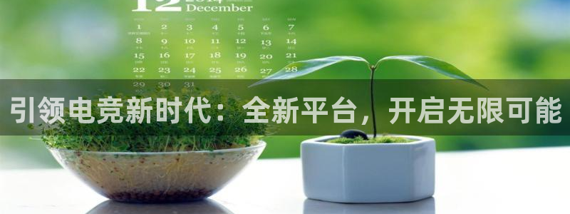 db电竞登陆：引领电竞新时代：全新平台，开启无限可能