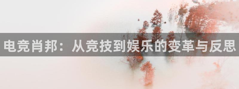 db电竞登陆