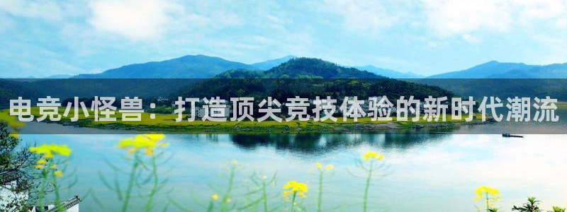 db电竞是什么软件