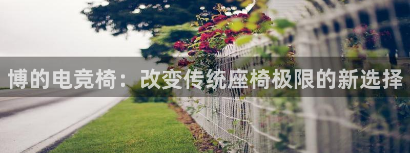 db电竞网页版：博的电竞椅：改变传统座椅极限的新选择