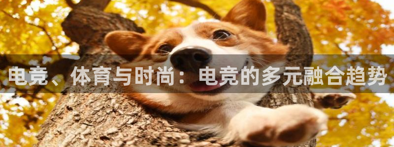 db电竞\'：电竞、体育与时尚：电竞的多元融合趋势