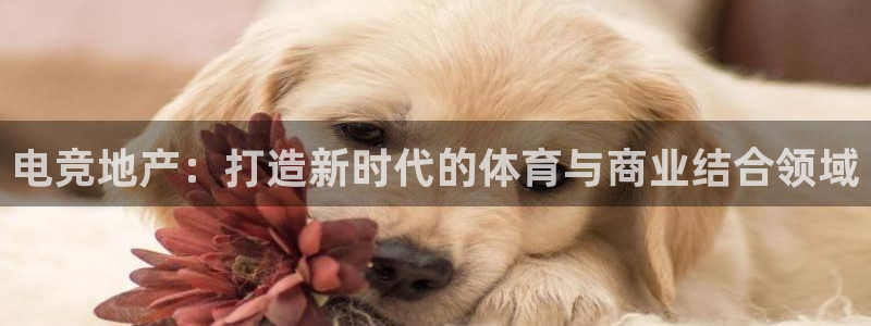 db电竞是什么软件啊：电竞地产：打造新时代的体育与商业结合领域